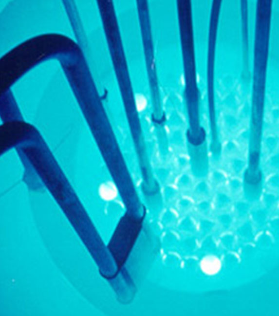 TRIGA<sup>&reg;</sup> Products and Technologies
